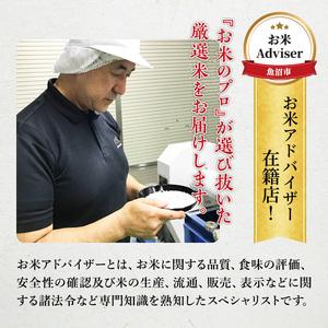 ふるさと納税 魚沼産 コシヒカリ 5kg 12ヶ月 連続お届け 米 定期便 お米 こめ コメ おこめ 白米 こしひかり 12回 60kg お楽しみ 新潟県魚沼市