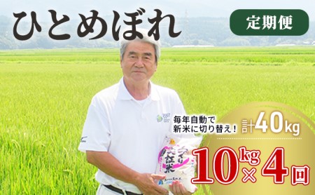 〈定期便〉 ひとめぼれ 白米 10kg（5kg×2袋）×4回 計40kg 4ヶ月 令和5年 精米 土づくり実証米 毎年11月より 新米 出荷