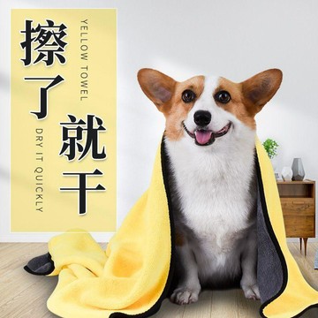 【台灣出貨】寵物吸水速乾毛巾狗狗貓咪洗澡專用超大號毛巾超吸水擦車巾洗車毛巾 吸水布 擦車布 纖維布 雙面速干 洗車布