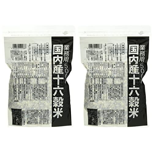 種商 国内産十六穀米 業務用 500g×2袋