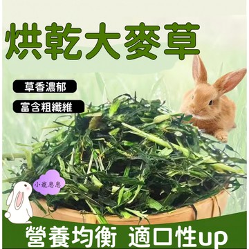 【隔日達】大麥草段500g烘乾大麥草兔子幹草飼料