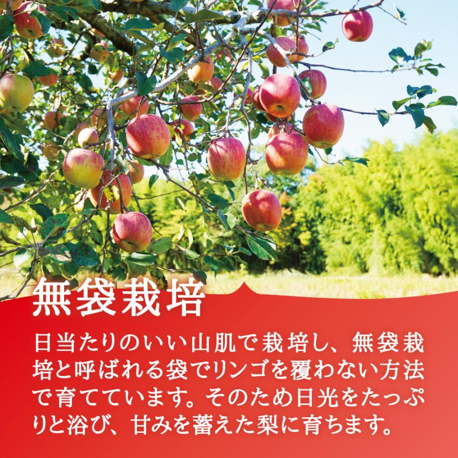 訳あり りんご サンふじ 宮城県産 ご自宅用 10kg（22〜36玉）｜ 国産 宮城 林檎