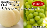 桃 ぶどう 2024年 先行予約 晴れの国 おかやま の  白桃 大玉 1.5kg以上 4～6玉 大きな シャイン マスカット 1房900g以上 マスカット ブドウ 葡萄  岡山県産 国産 フルーツ 果物 ギフト