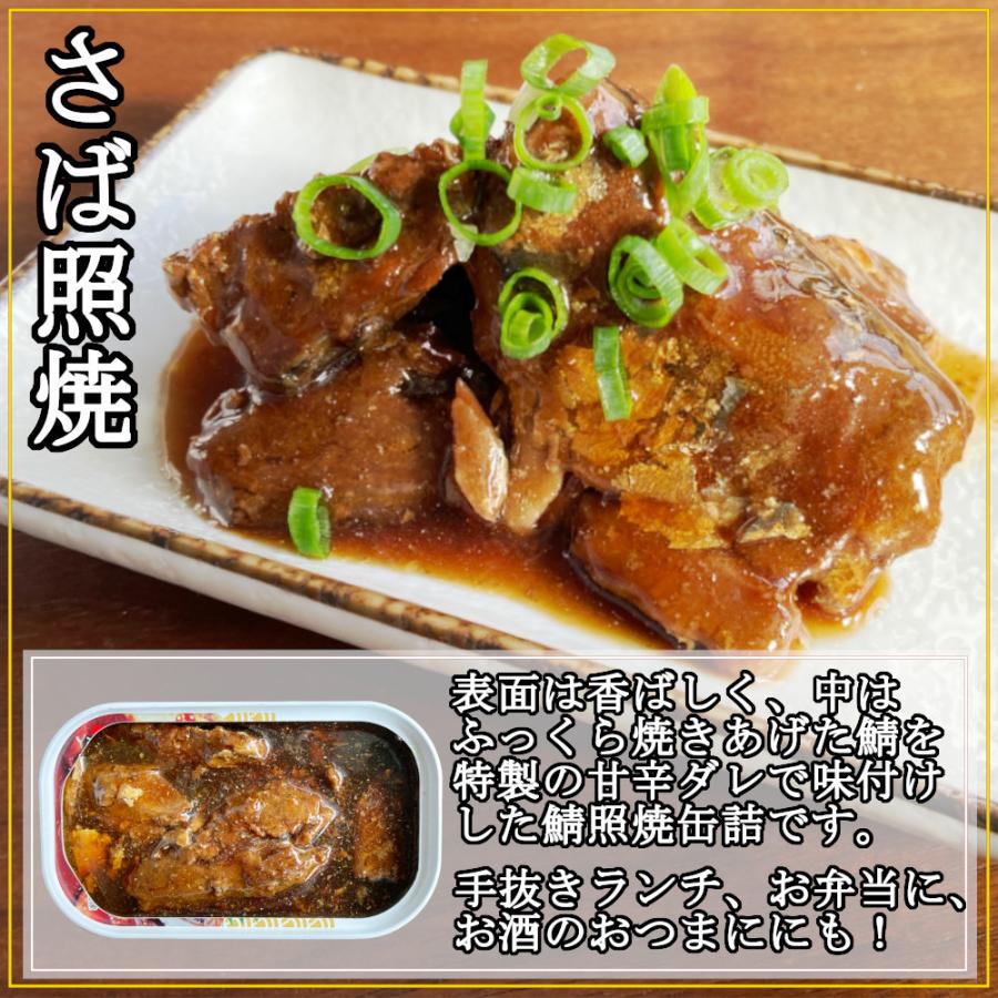 鯖缶 照り焼き100gx24缶 サバ 缶詰 さば缶 照焼 おつまみ アテ 酒の肴 業務用 おつまみセット まとめ買い 送料無料