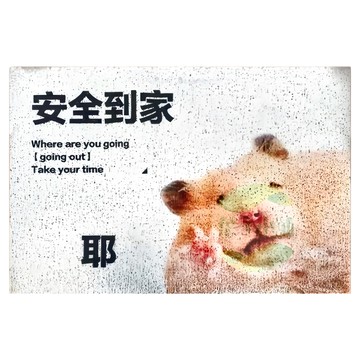 迷因絲圈臥室地墊 PVC材質  60 x 40cm  F款 安全到家