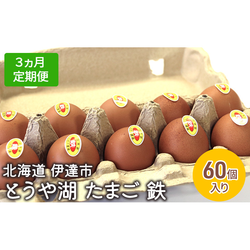  北海道 伊達市 とうや 卵 鉄  60個 入り たまご