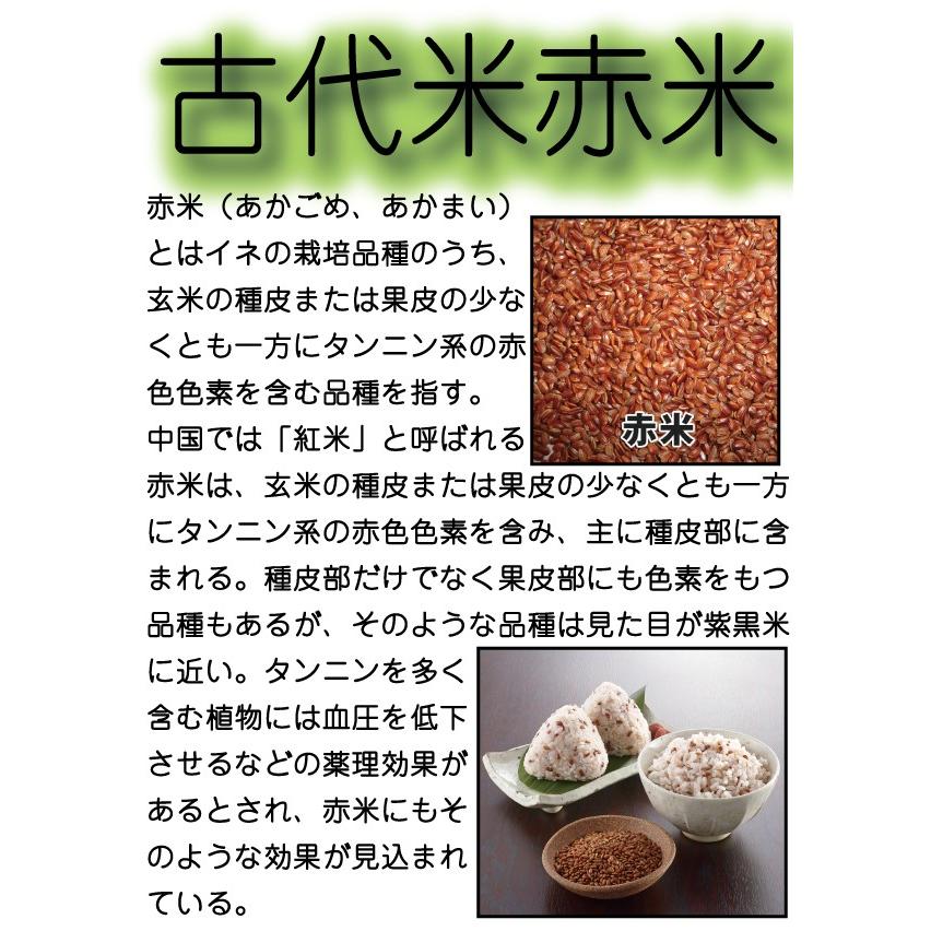 お米 米 1kg 玄米 送料無料 熊本県産 赤米 無農薬 あすつく 新米 令和5年産 古代米 くまもとのお米 富田商店 とみた商店