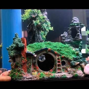 魚缸躲避屋 魚蝦大號爬蟲躲避洞 蜘蛛盒蜥蜴寄居蟹爬蟲箱造景擺件 MDXV