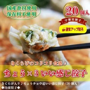 宇都宮餃子　ちょうX3いい感じ餃子　保存料不使用