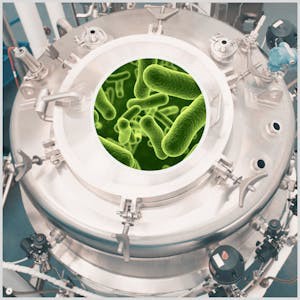 Industrial Biomanufacturing: From Cells to Products
