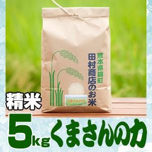 5年産　熊本県産　くまさんの力精白米5kg