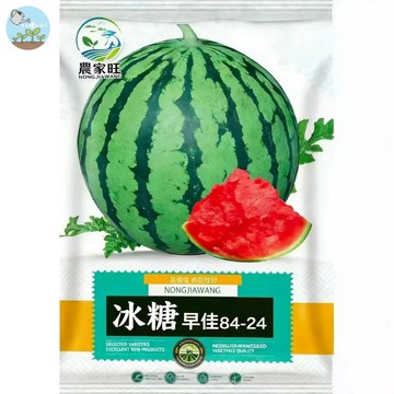 【原廠包裝】冰糖早佳84-24西瓜種子（Rock Candy Zaojia 84—24） 薄皮紅肉超甜小西瓜  早生高產
