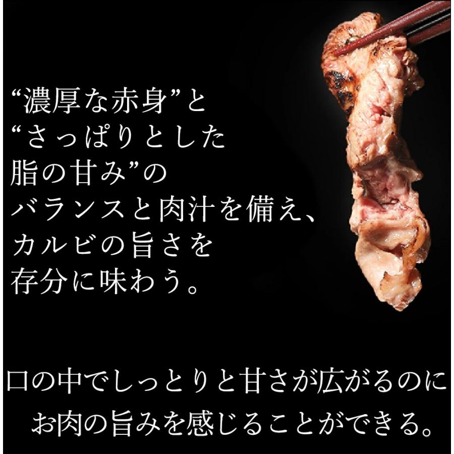 肉 福袋 カルビ 焼肉 焼肉セット bbq バーベキュー 焼き肉 牛肉 セット 本格 厚切り 2種から選べるカルビ 1kg 500g×2