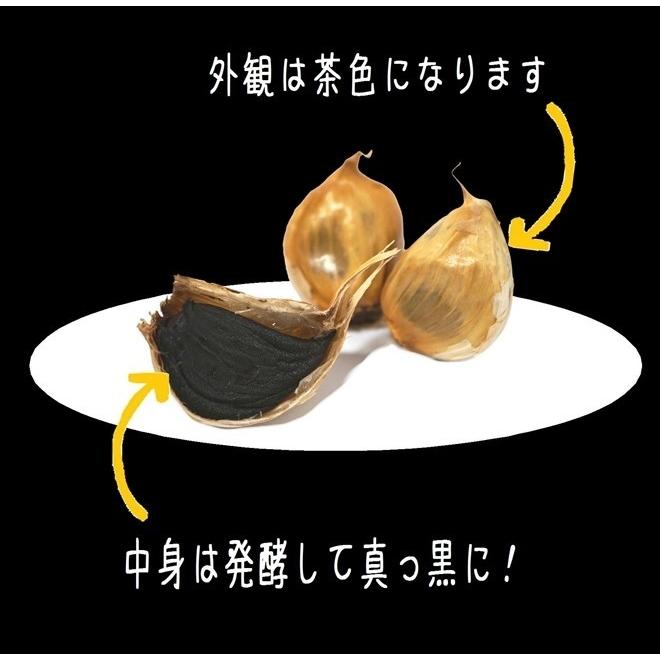 黒にんにく 45g パック 自社栽培 にんにく使用 ニンニク こだわり農家