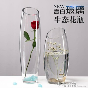歐式玻璃花瓶創意炮彈龍蛋造型干花插花花器客廳富貴竹裝飾擺件 99購物節