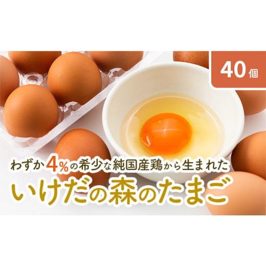 ふるさと納税 岐阜県 池田町 卵 わずか4%の希少な純国産鶏 いけだの森たまご 40個 こだわり おこめのたまご 玉子 鶏卵 生卵 産地直送 冷蔵配…