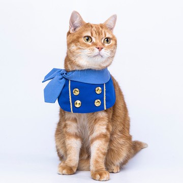 寵物王妃套裝--英國藍