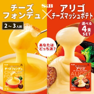  チーズフォンデュ チーズマッシュポテト エスビー  SB SB ヱスビー食品 Ｓ＆Ｂ 送料無料