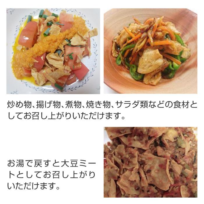 大豆ミート 大豆チップス オーガニック 国産  国産 250g 無農薬 無肥料 スーパーフード