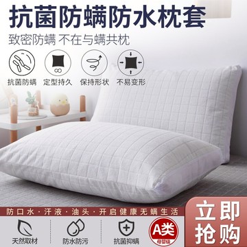枕套ins風一對裝枕頭套雙人單人學生宿舍枕芯套48cmx74cm網紅同款