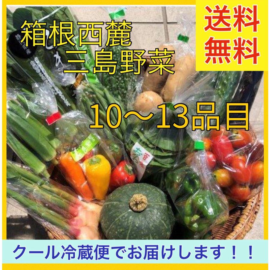 送料無料　約10〜13品目　箱根西麓三島野菜 詰め合わせ（北海道・沖縄は別途送料）