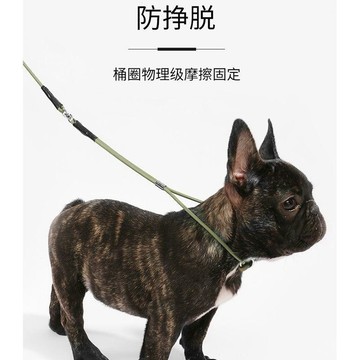 💕在臺出貨🔥狗繩小型犬非p繩一體式牽引繩泰迪比熊狗鏈訓犬賽級小狗幼犬狗繩