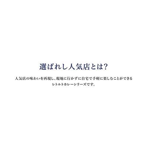 選ばれし人気店 9種 12食詰め合わせ 1セット  ハウス