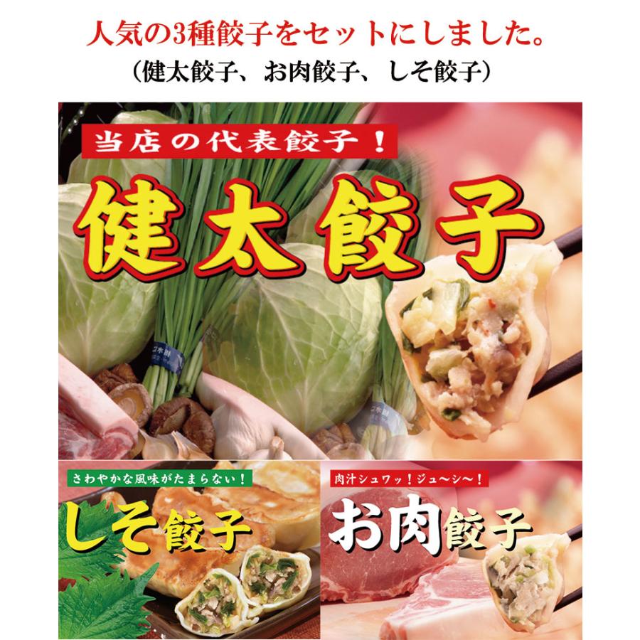 ギフト 健太餃子 シソ餃子 お肉餃子×各2パック 栃木 土産 冷凍 ぎょうざ 宇都宮餃子館