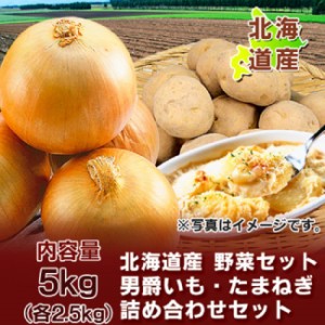 じゃがいも 男爵いも 送料無料 玉ねぎ 野菜セット 北海道産 男爵いも たまねぎ 5kg (各2.5kg) Lサイズ 野菜 野菜セット 野菜詰め合わせ