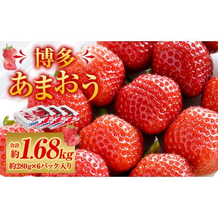 ふるさと納税 福岡県産 博多あまおう 約1.68kg (約280g×6パック入り) いちご 苺 ※北海道・沖縄・離島配送不.. 福岡県直方市