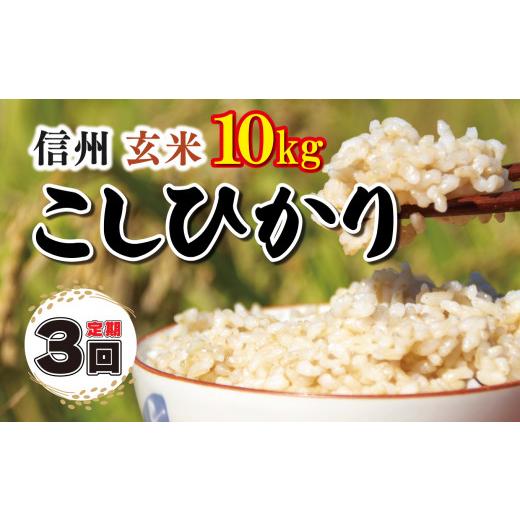 ふるさと納税 長野県 千曲市 信州米 こしひかり 玄米 10kg 長野県産