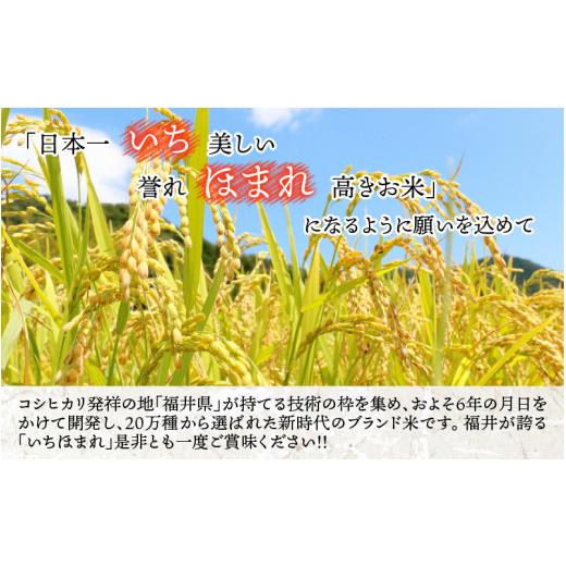 ふるさと納税 福井県 永平寺町 令和5年度産 福井県産新ブランド米 いちほまれ 10kg（5kg×2袋）×6ヶ月（計60kg） [K-002039]