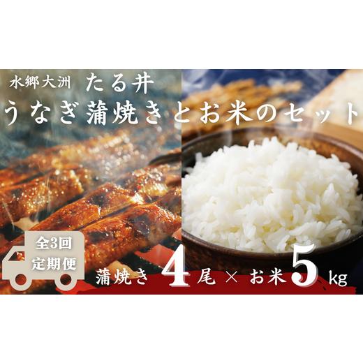 ふるさと納税 愛媛県 大洲市  水郷大洲たる井の「国産うなぎ蒲焼き4尾」と大洲産のお米