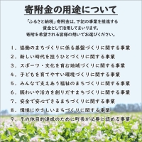 北海道 じゃがいも キタアカリ 10kg 北海道産 十勝産 きたあかり 北あかり ジャガイモ 芋 いも ポテト お取り寄せ まとめ買い 送料無料 十勝 士幌町