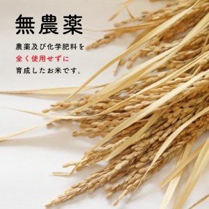 無農薬・化学肥料不使用 ヒノヒカリ 10kg