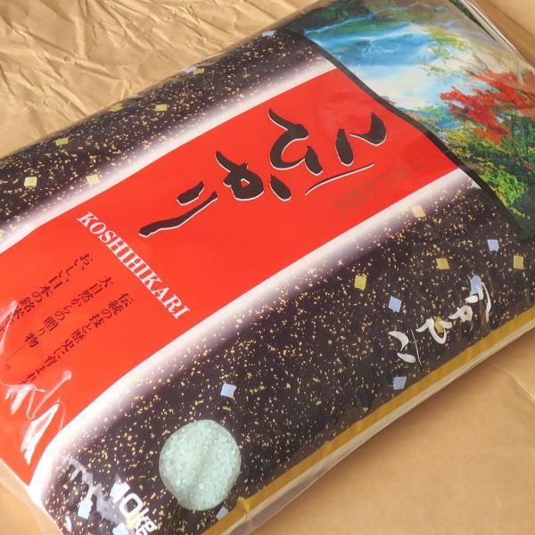 お米 10kg コシヒカリ 玄米 山形県 庄内 10kg×1袋 5年度産 新米