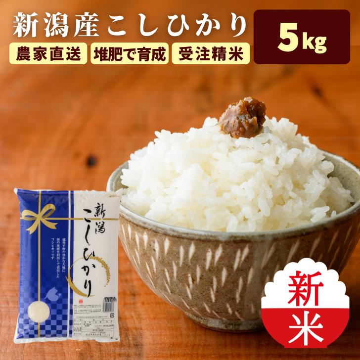 新米 5年産 新潟 米 コシヒカリ 新潟 コシヒカリ 5kg 美味しい お米 5kg 新潟産 受注してから精米します 白米 精米 減農薬 農家 直送 ギフト 内祝い プレゼント