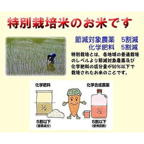 新米 令和5年産 滋賀県産 特別栽培 プレミアム コシヒカリ10kg (5kg×2袋) 出荷日精米 (玄米のまま 5kg×2袋でお届け)