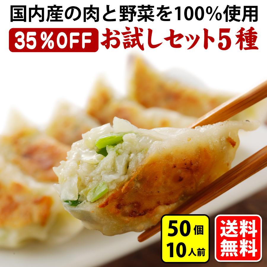 お試しセット送料無料 詰め合わせ 冷凍餃子  生餃子 餃子 ぎょうざ ギョーザ ギョウザ 冷凍生餃子 お取り寄せ セット 冷凍食品 グルメ