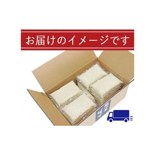 ふるさと納税 新潟県 十日町市 無洗米　魚沼産こしひかり1合×30袋　新潟県認証特別栽培米　令和５年度米