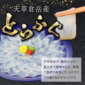 ふるさと納税 S033-001_とらふぐ宅配セット 4〜5人前(刺し身・ちり・本皮・焼きヒレ) 熊本県天草市