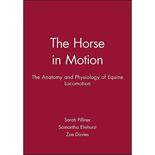 The Horse in Motion