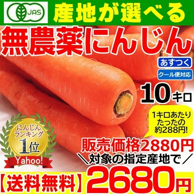役に立ちます 冷凍カット野菜 人参100g 12袋 通販 Lineポイント最大get Lineショッピング
