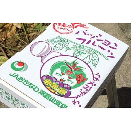 ふるさと納税 南国の果物　パッションフルーツ　1kg　贈答用 沖縄県南風原町