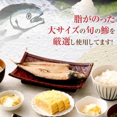 ふるさと納税 室戸市 トロ鯵の干物セット定期便　あじ干物