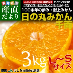 愛媛県より産地直送 JAにしうわ 日の丸みかん 千両 LからSサイズ ３キロ(24玉から36玉) 送料無料 蜜柑 ミカン