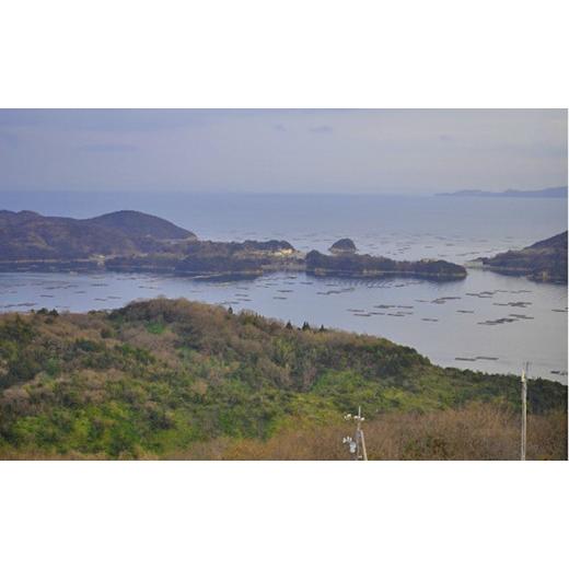 ふるさと納税 岡山県 瀬戸内市 冷凍蒸し牡蠣 500g MSC認証 マルト水産 岡山県邑久町虫明産　 [No.5735-0802]