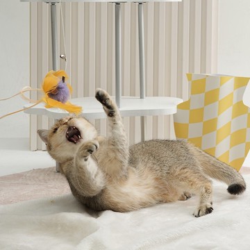 貓咪自嗨/省力撩貓/紓壓 | 貓咪玩具搖搖樂-波斯菊 Pawsholic爪迷