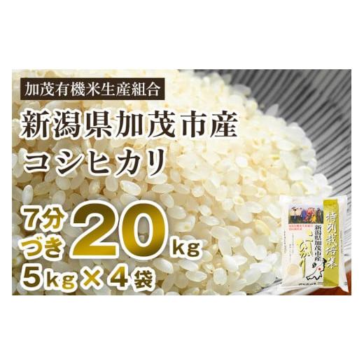 ふるさと納税 新潟県 加茂市 新潟県加茂市産 特別栽培米コシヒカリ 精米20kg（5kg×4） 従来品種コシヒカリ 加茂有機米生産組合