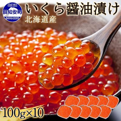 ふるさと納税 倶知安町 2024年先行受付 北海道産いくら醤油漬け 100g×10パック